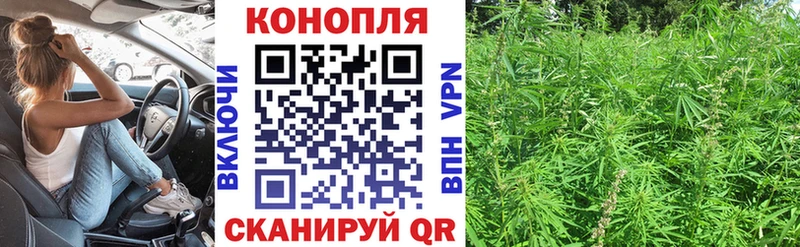 Где найти наркотики Дорогобуж А ПВП  АМФ  Мефедрон  ГАШИШ  COCAIN  МАРИХУАНА 