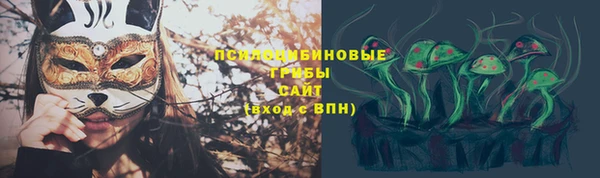 прущая мука Верея
