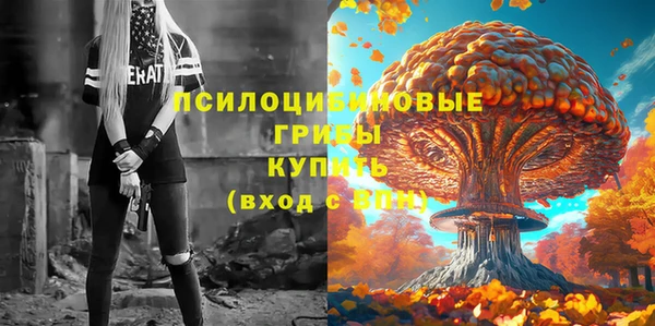 Альфа ПВП Богородицк