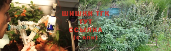 Альфа ПВП Богородицк