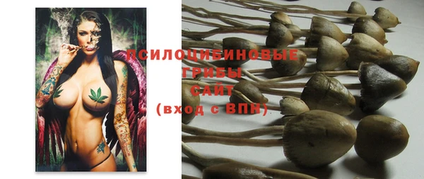 прущая мука Верея