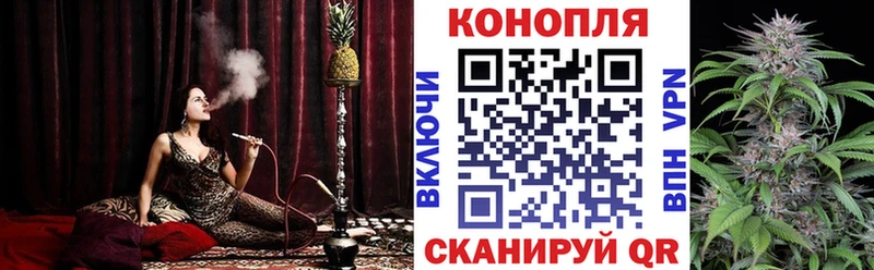 купить наркотики сайты  Дорогобуж  Каннабис AK-47 
